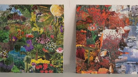 Une partie de la classe de seconde « Nature » au lycée de Velet a opté pour la technique du collage afin de mettre en relief les saisons.©Velet